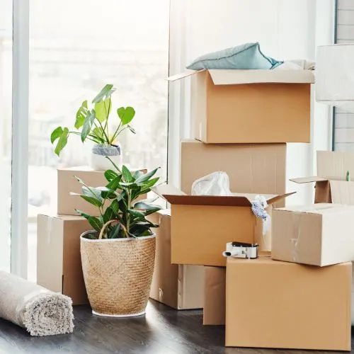 Acompañamiento de mudanzas